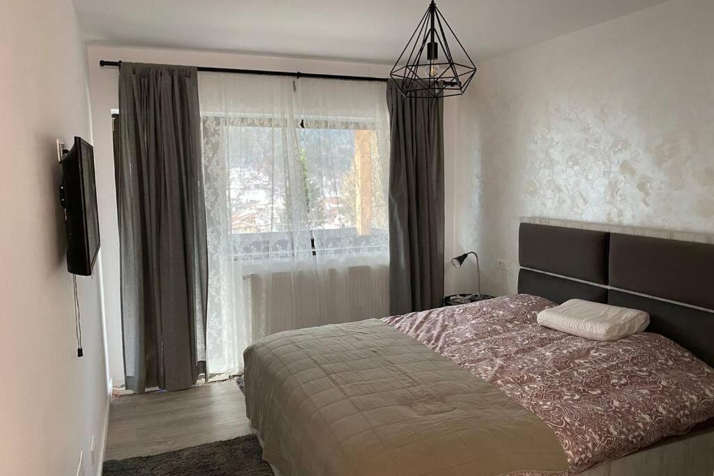 Casa Skadi, Zamora,Buşteni Buitenkant foto