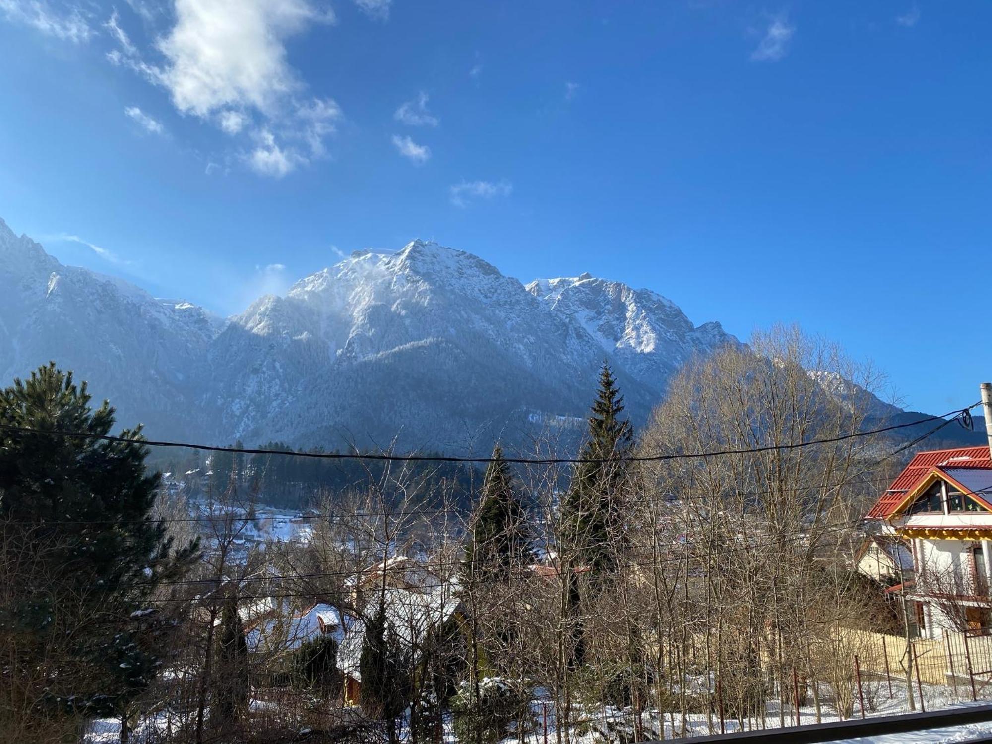 Casa Skadi, Zamora,Buşteni Buitenkant foto